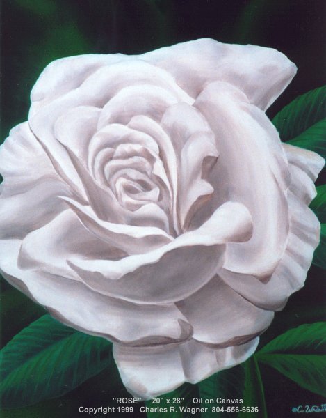 Rose.jpg (47288 bytes)