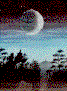 wpe4.gif (69920 bytes)