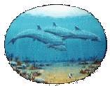 Pod.jpg (40544 bytes)