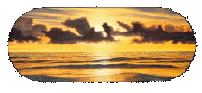 Beach.jpg (27222 bytes)