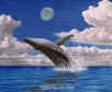 whale.jpg (78437 bytes)