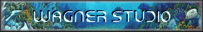 FINAL FISH  PSP.gif (58478 bytes)